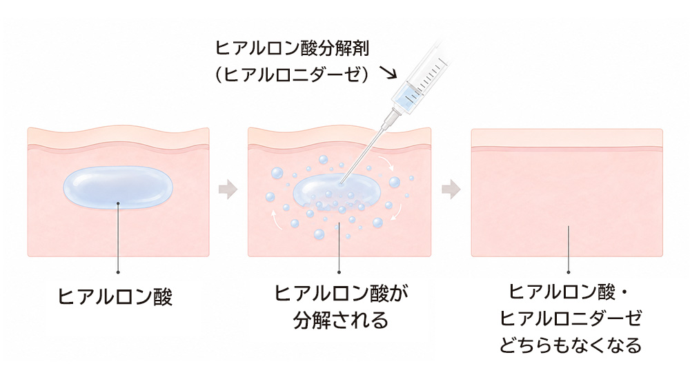 他院での仕上がりの修正やメンテナンスにも対応