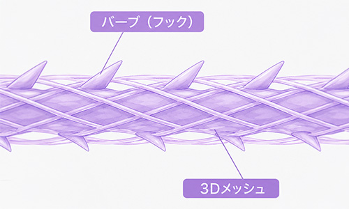 長期間持続するリフトアップ効果
